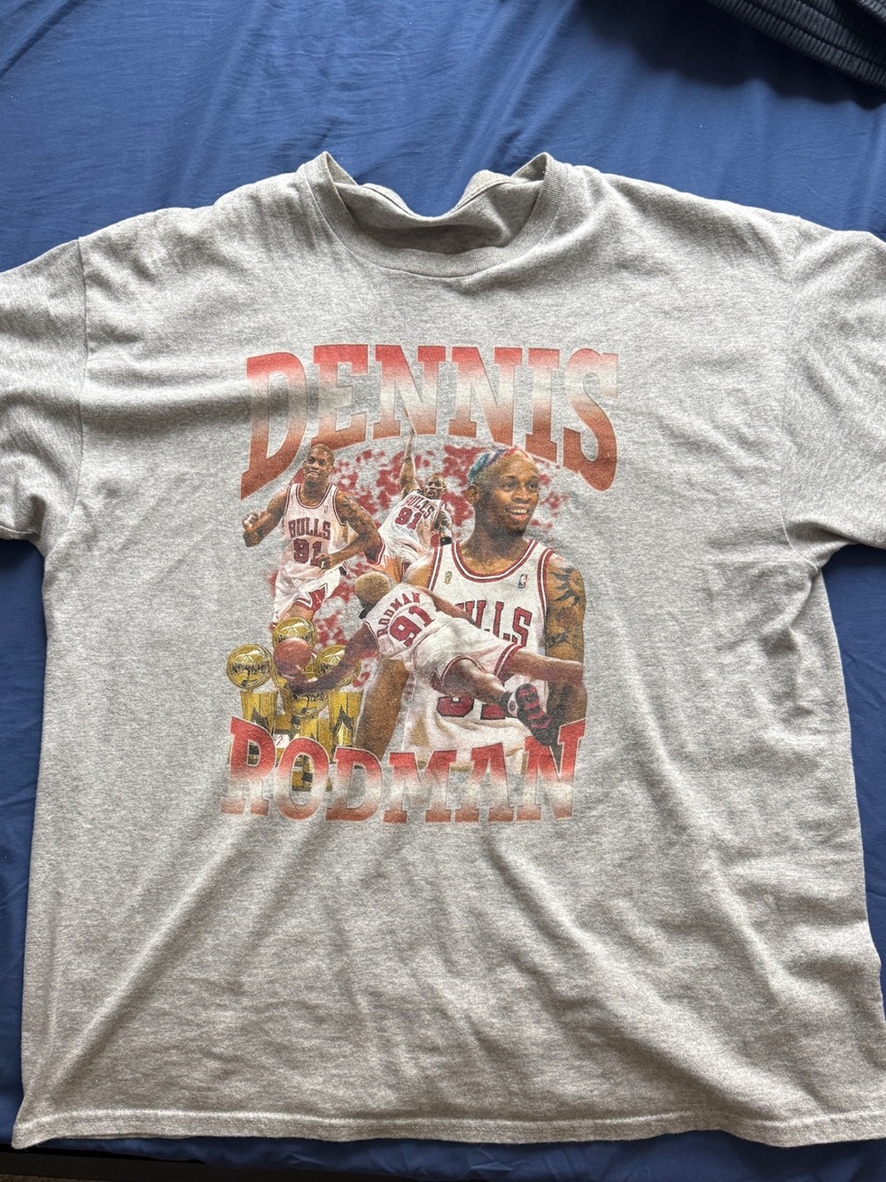 Vintage Dennis Rodman Chicago Bulls Graphic Tee - Gray